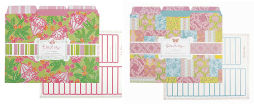 Cabanarama & Bees Knees File Folders