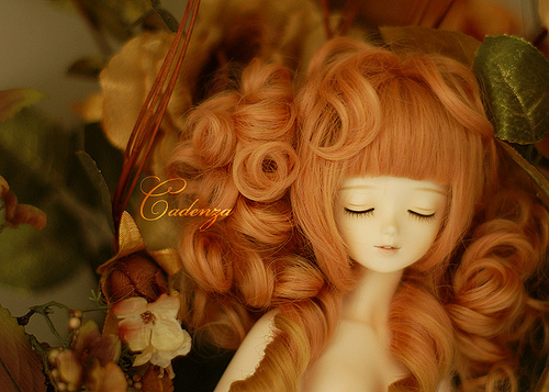 Yukari: Bluefairy white sleeping sarang